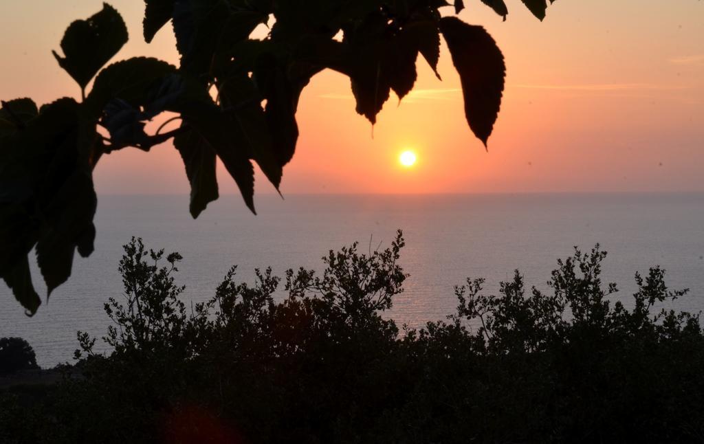 피스카던 Heliovasilema 아파트 외부 사진